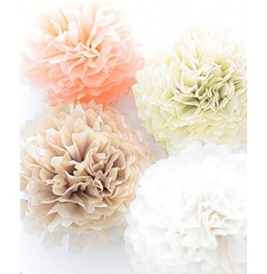 20 Pcs Tissue Paper Pom Poms Kit, 14", 10", 8", 6" Paper Flowers for Wedding, Birthday, Baby Shower, Bachelorette Party