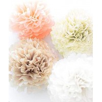 20 Pcs Tissue Paper Pom Poms Kit, 14", 10", 8", 6" Paper Flowers for Wedding, Birthday, Baby Shower, Bachelorette Party